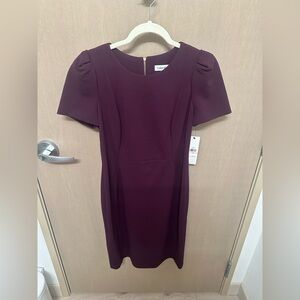 NWT Calvin Klein Women's Dress in Deep Plum size 10